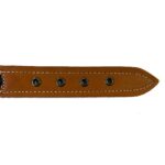 Collar Talla S Hebilla Grande 04 - Image 4