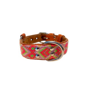 Collar Talla S Hebilla Grande 01