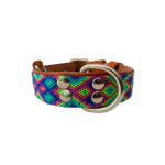 Collar Talla S Hebilla Grande 01