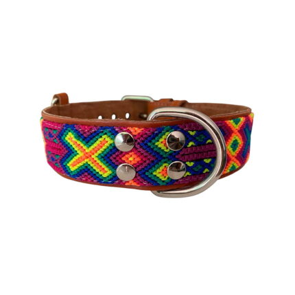 Collar Talla XL 03
