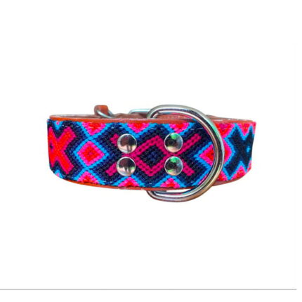 Collar para perro talla XL diseño Fucsia Eléctrica en fucsia, azul y negro
