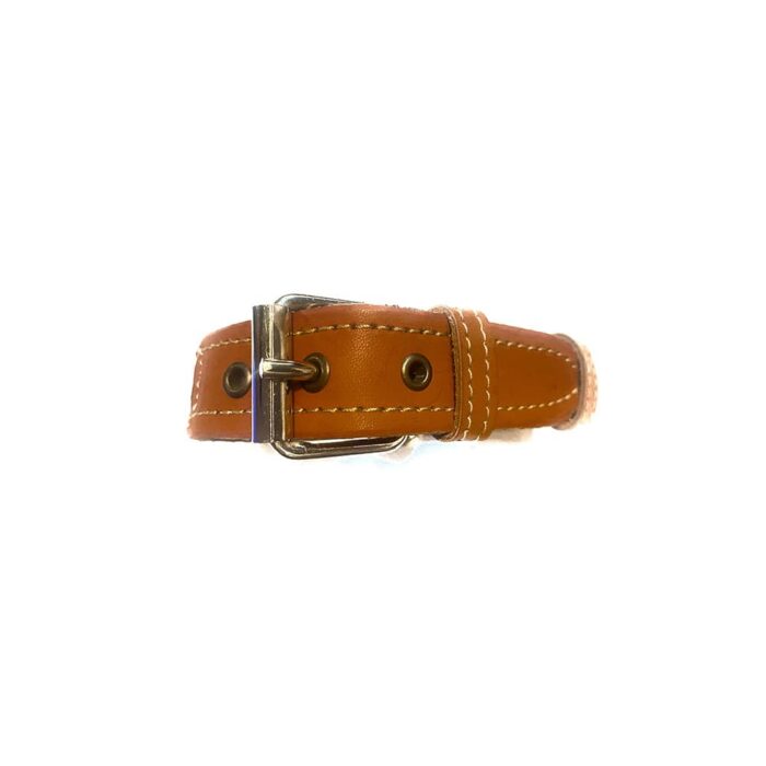 Collar Talla S Hebilla Grande 08 - Image 3