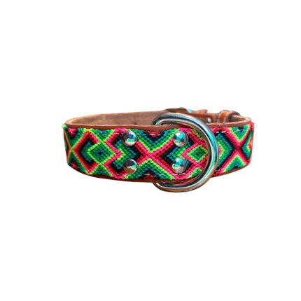 Collar delgado para perro talla M diseño Energía Traviesa en verde lima, fucsia y turquesa