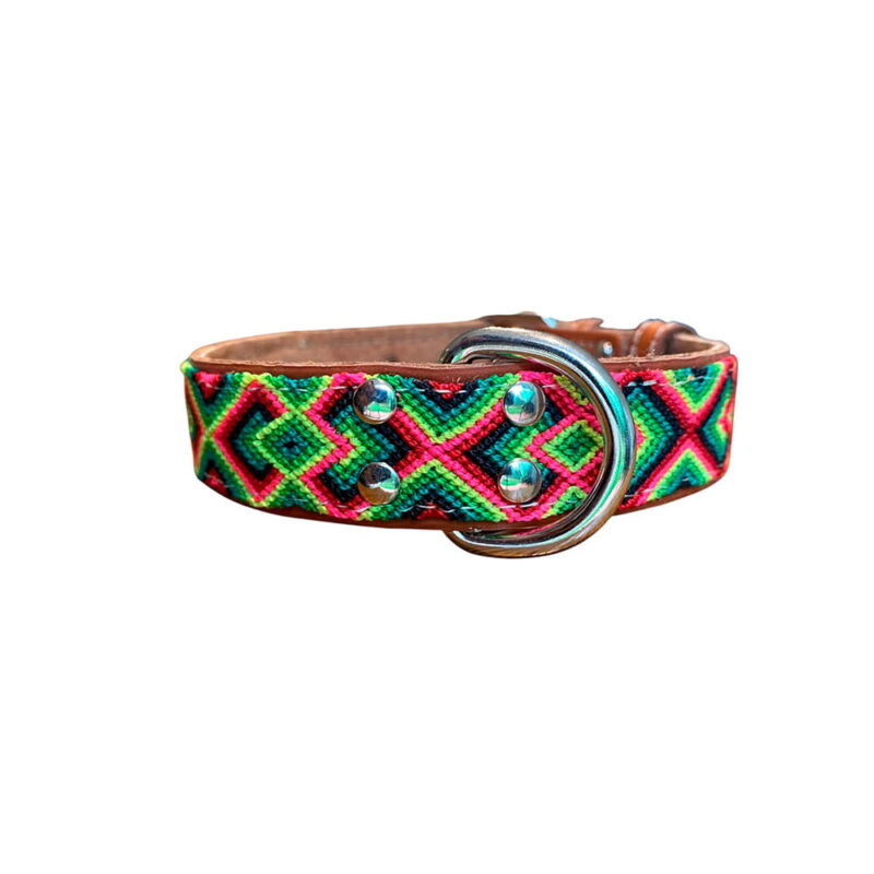 Collar delgado para perro talla M diseño Energía Traviesa en verde lima, fucsia y turquesa