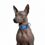 Collar Talla M Grueso 06 - Image 6