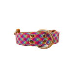Collar Talla S Hebilla Grande 10