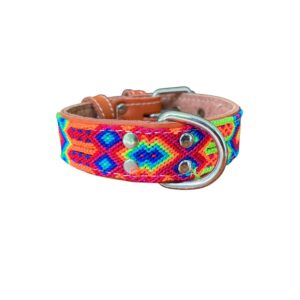 Collar Talla S Hebilla Grande 08