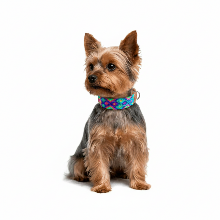 Collar Talla XS 06 - Image 4
