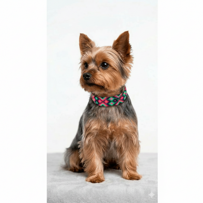 Collar Talla XS 10 - Image 4