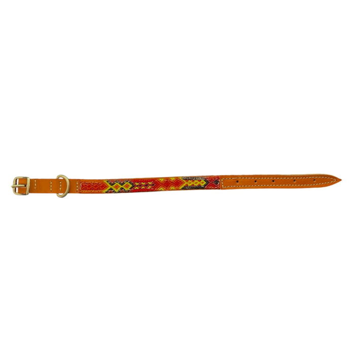 Collar Talla XXS 08 - Image 2