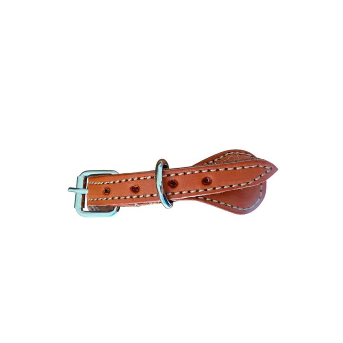 Collar Talla S Hebilla Chica 12 - Image 3