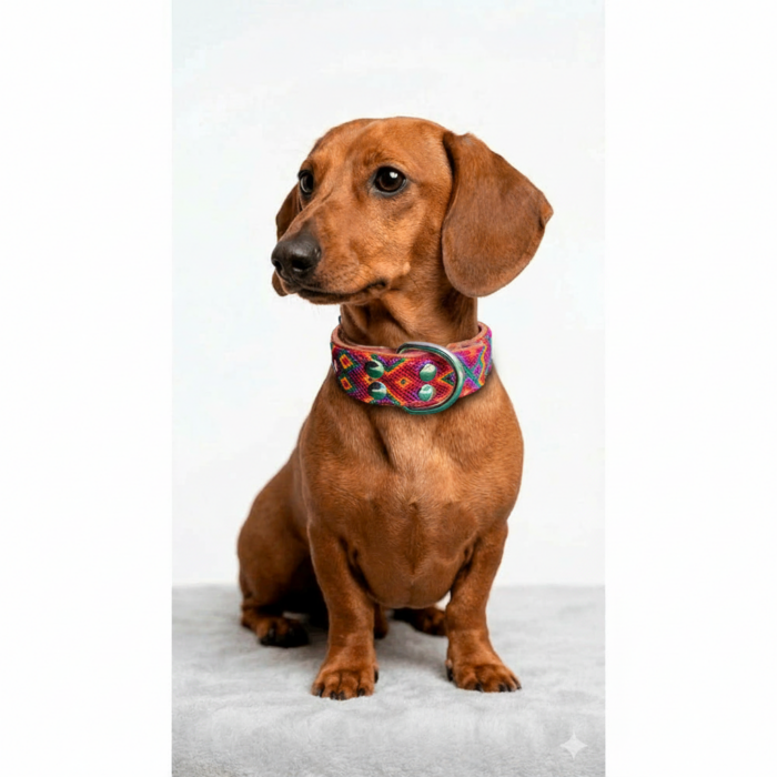 Collar Talla S Hebilla Grande 02 - Image 3