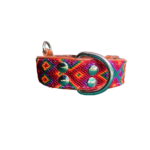 Collar Talla S Hebilla Grande 02