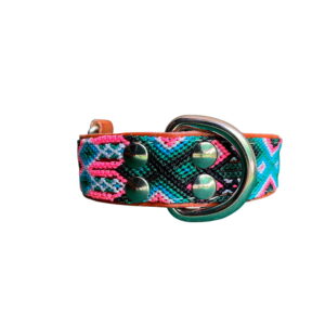 Collar Talla S Hebilla Grande 03