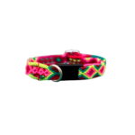 Collar Gato 10