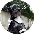 Aíko y A.